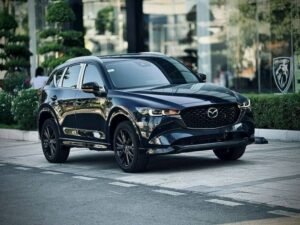 Read more about the article Top 8 Dòng Xe 5 Chỗ Gầm Cao Giá Rẻ Dưới 1 Tỷ Đồng Năm 2025